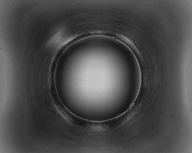 X0000085830439200703231424