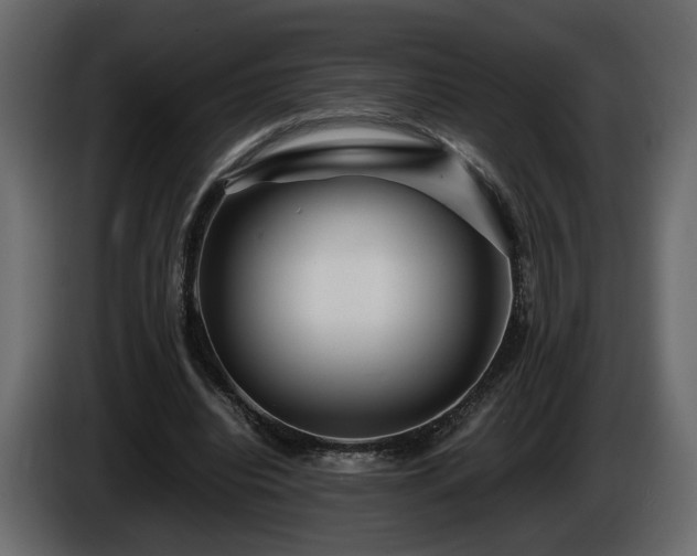 X0000085830440200703231424