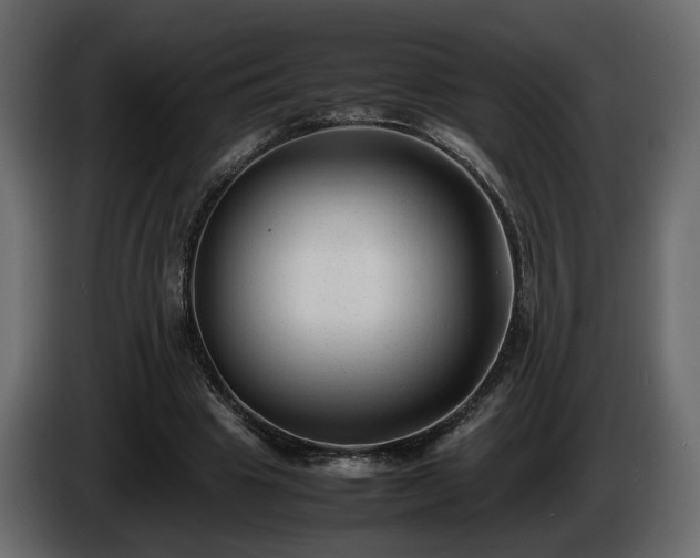 X0000085830441200703231424