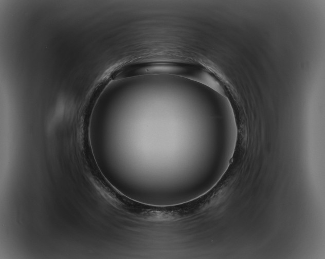 X0000085830442200703231424