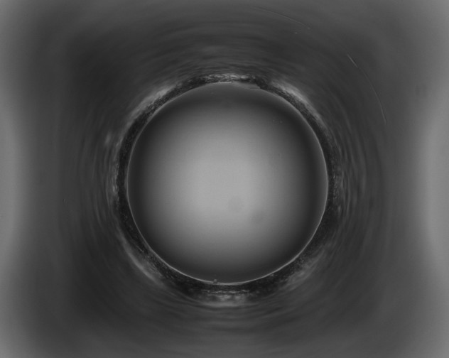 X0000085830443200703231424