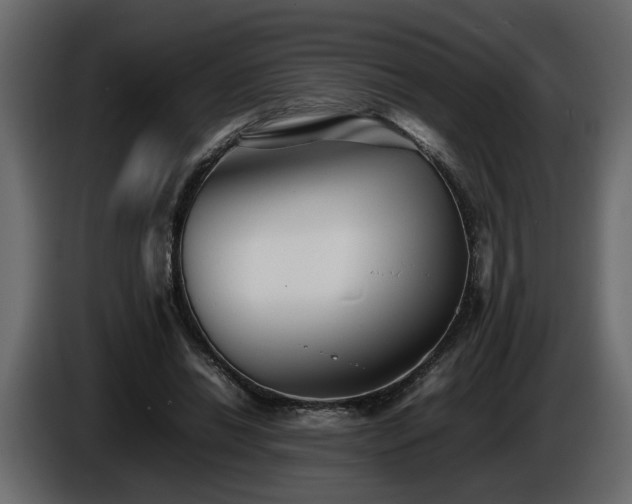 X0000085830446200703231424