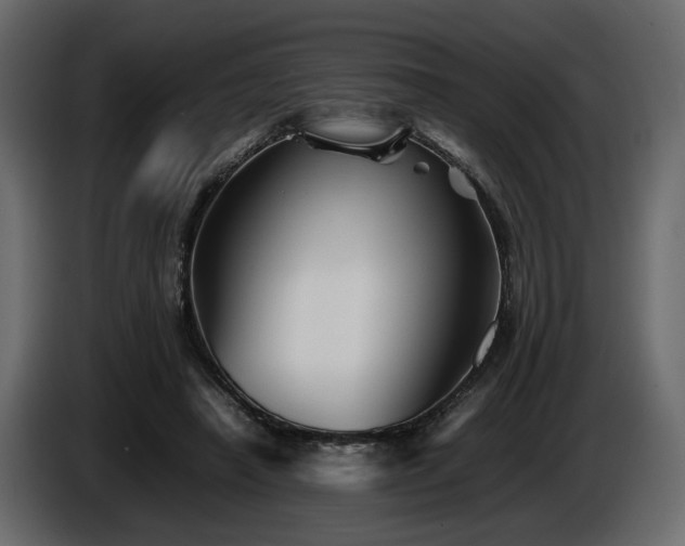 X0000085830450200703231424