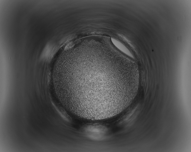 X0000085830451200703231424