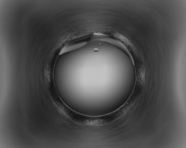 X0000085830452200703231424