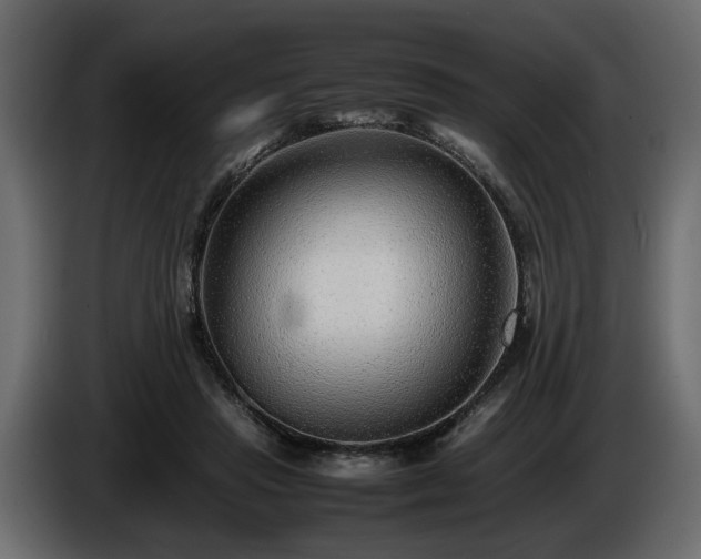 X0000085830453200703231424