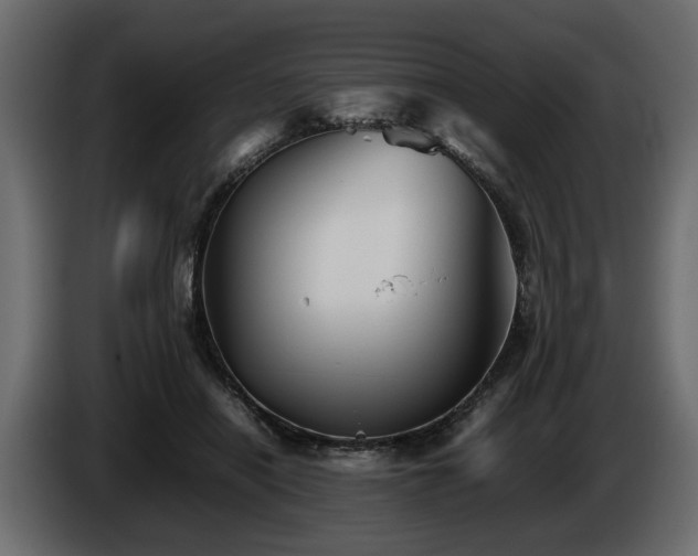 X0000085830454200703231424