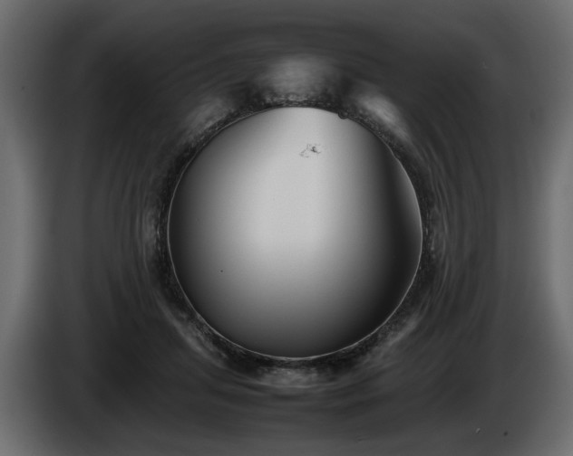 X0000085830455200703231424