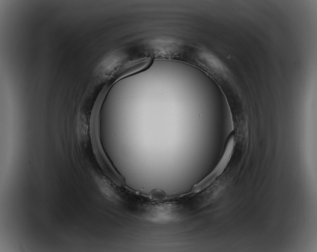 X0000085830456200703231424