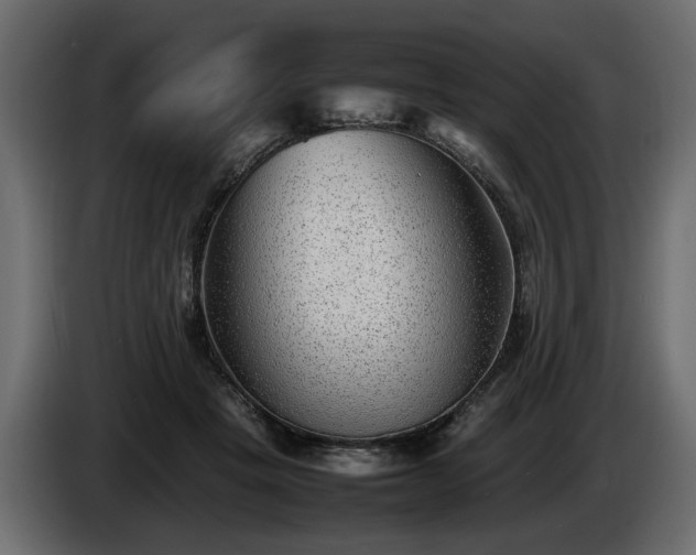 X0000085830457200703231424