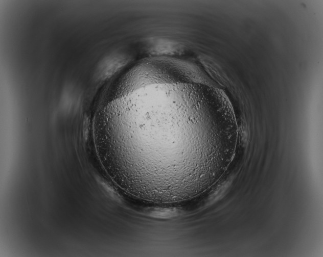 X0000085830458200703231424