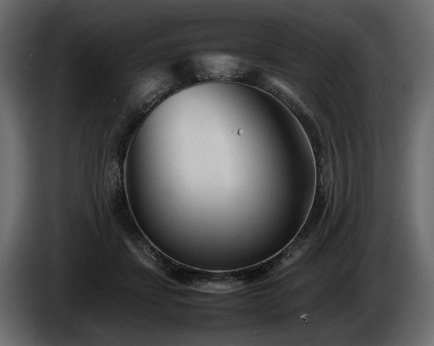 X0000085830459200703231424