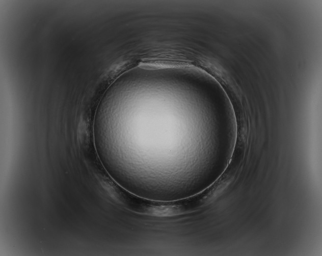 X0000085830461200703231424