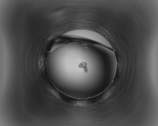 X0000085830462200703231424