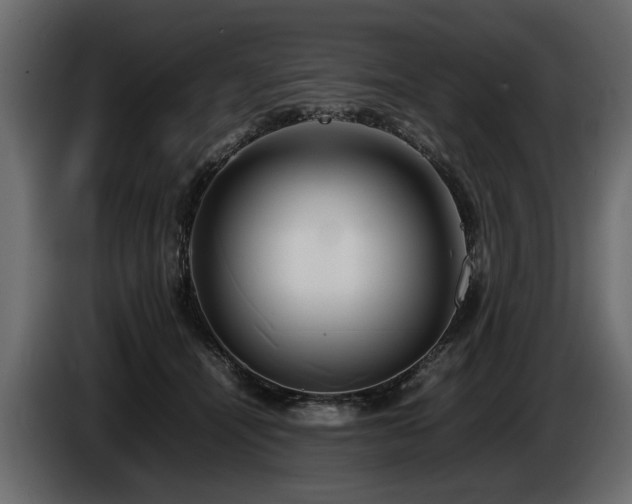 X0000085830464200703231424