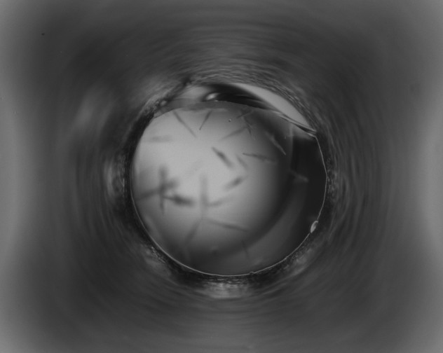 X0000085830466200703231424
