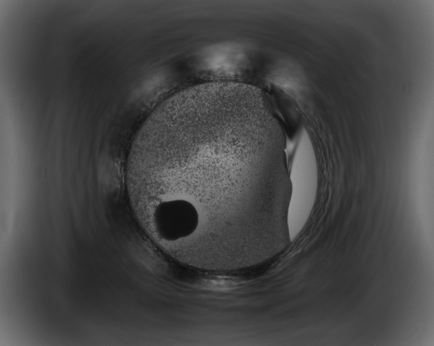 X0000085830467200703231424