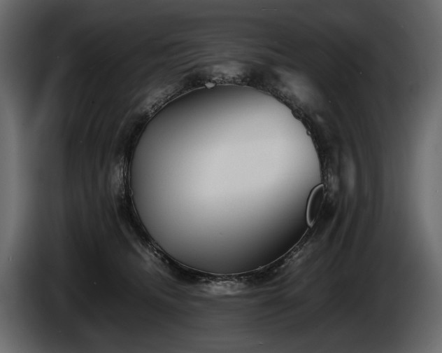 X0000085830468200703231424