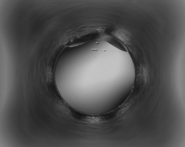 X0000085830469200703231424