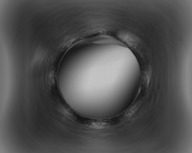 X0000085830470200703231424