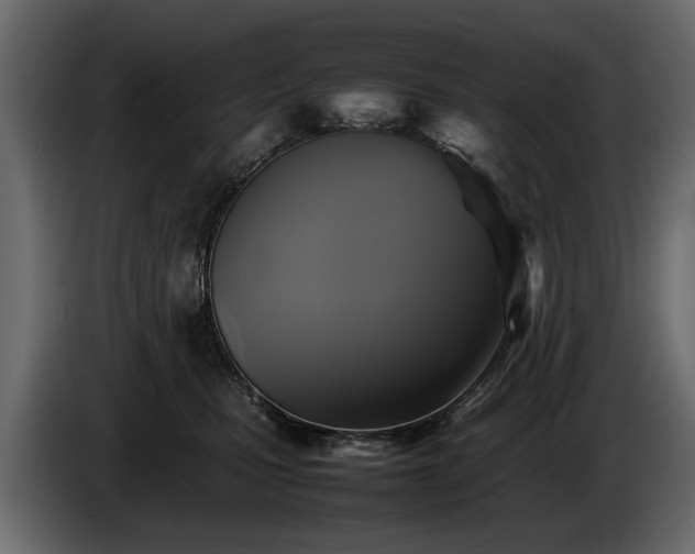 X0000085830471200703231424