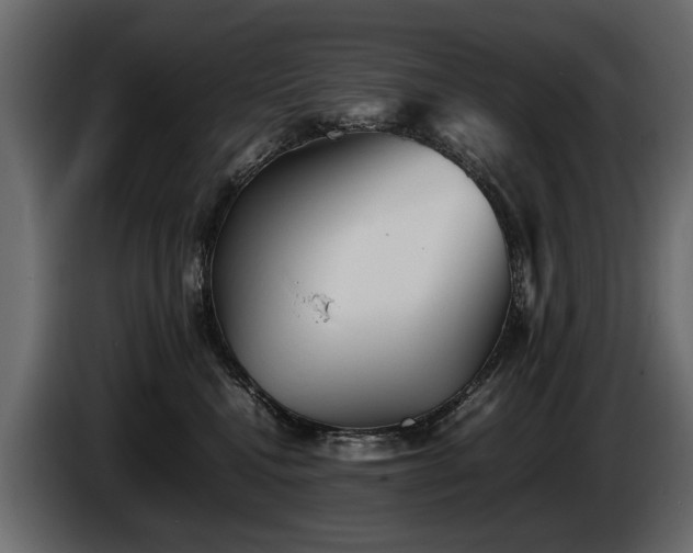 X0000085830472200703231424