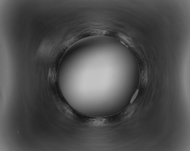 X0000085830474200703231424