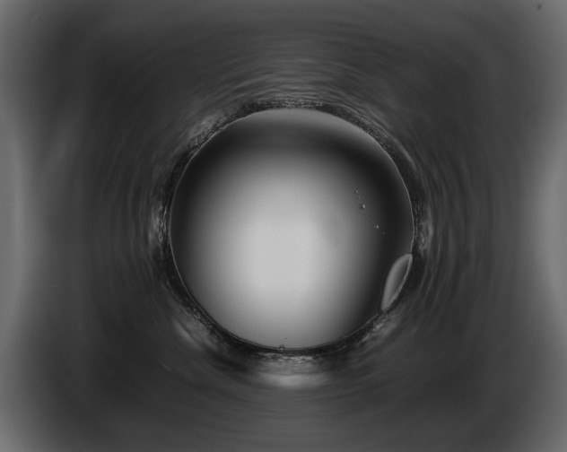 X0000085830476200703231424