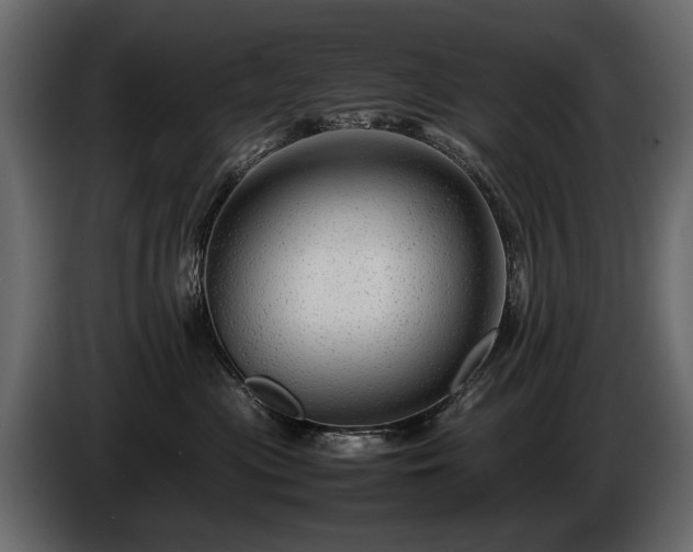 X0000085830477200703231424