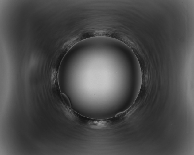 X0000085830478200703231424