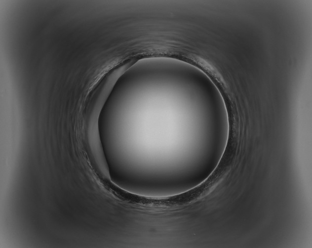 X0000085830481200703231424