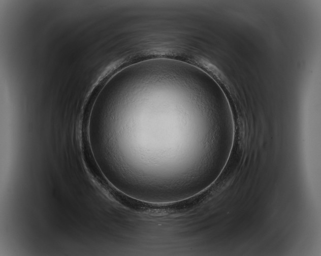 X0000085830482200703231424