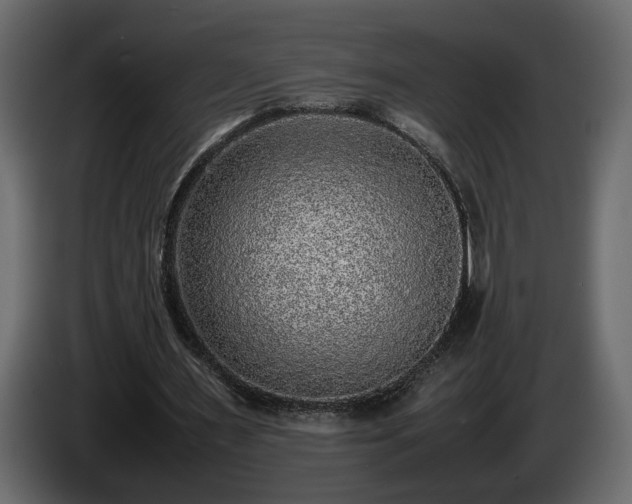 X0000085830483200703231424