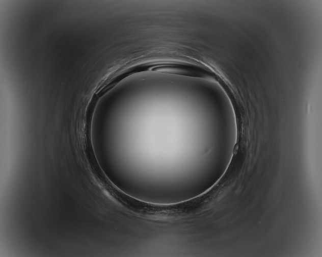 X0000085830485200703231424