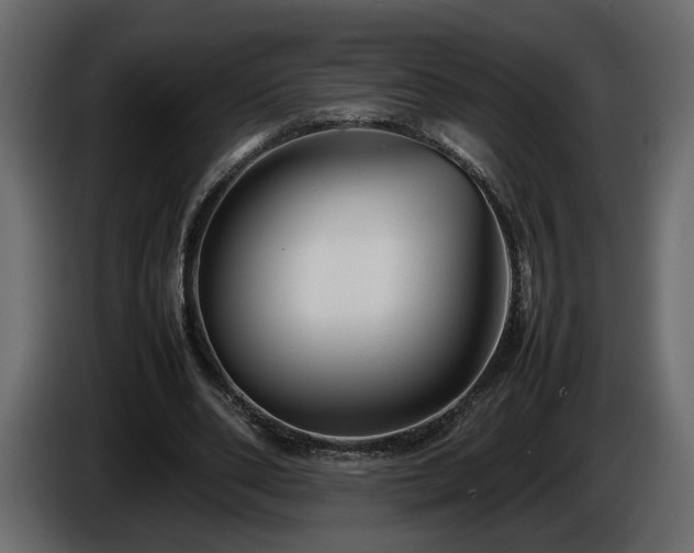 X0000085830486200703231424