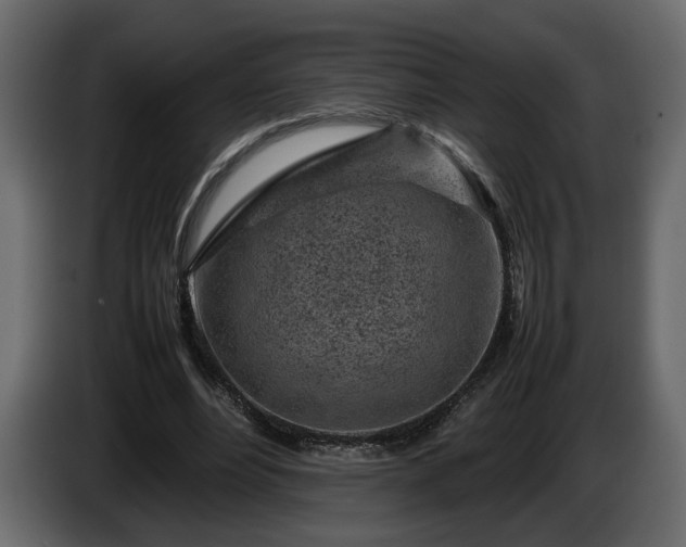 X0000085830488200703231424