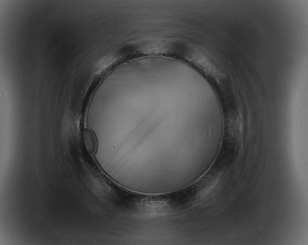 X0000085830491200703231423