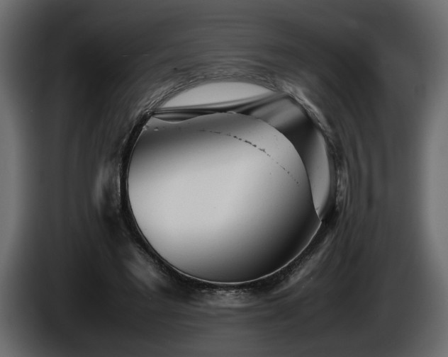 X0000085830493200703231423