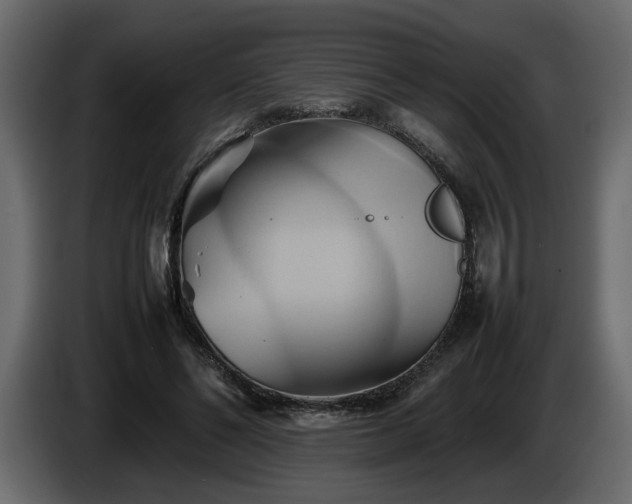 X0000085830494200703231423