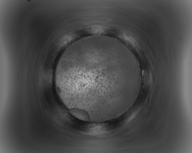 X0000085830495200703231423