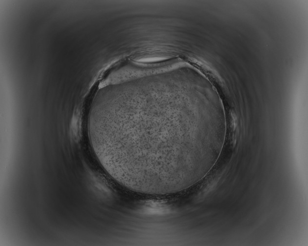 X0000085830496200703231423