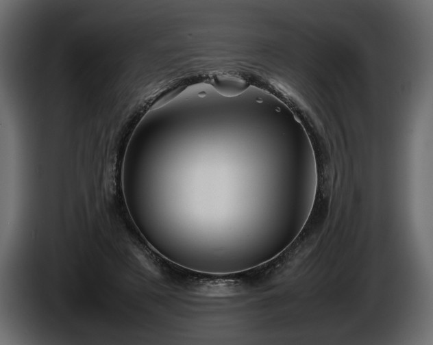 X0000085830497200703231423