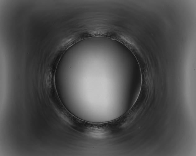 X0000085830498200703231423