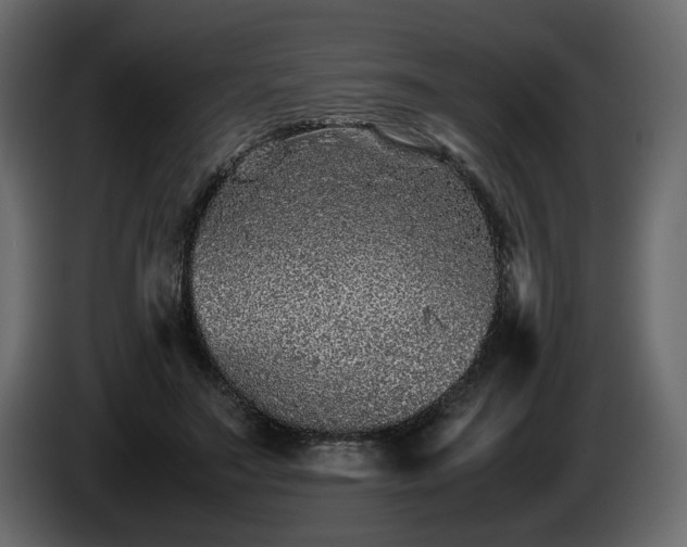 X0000085830499200703231423