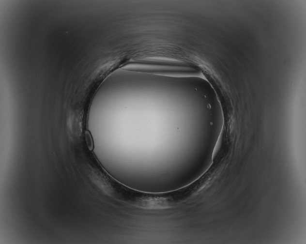 X0000085830501200703231423