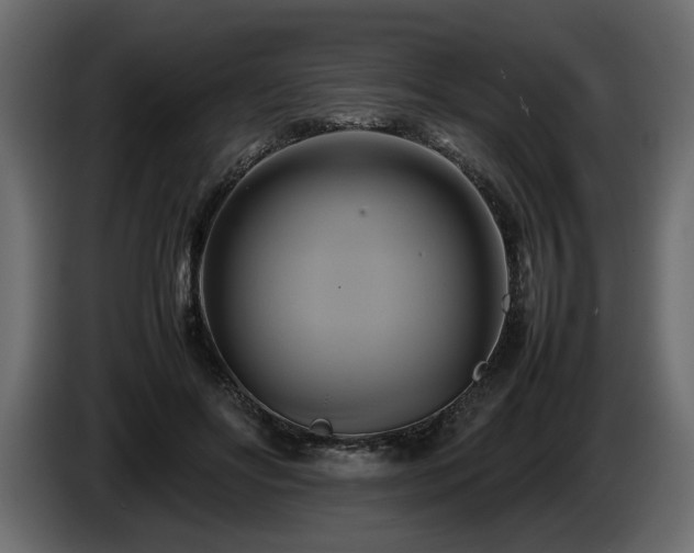 X0000085830502200703231423