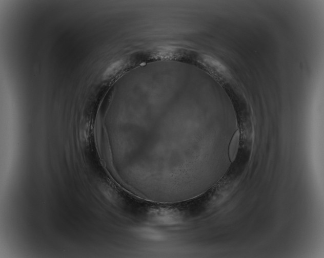 X0000085830503200703231423