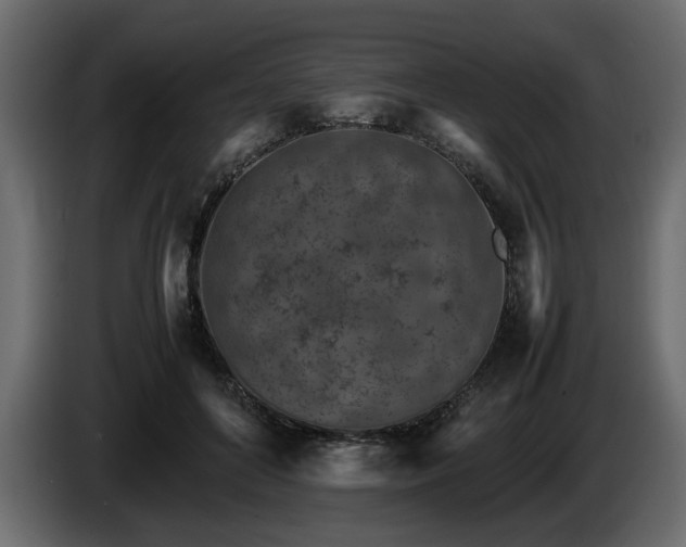 X0000085830504200703231423