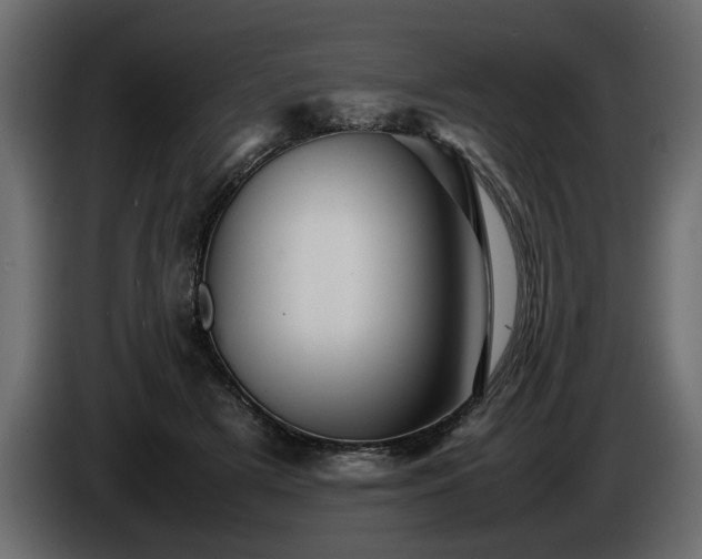 X0000085830505200703231423