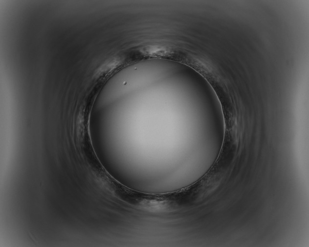 X0000085830506200703231423